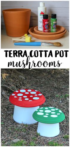 there are two pictures with the words terra cota pot mushrooms on them and an image of