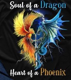 a t - shirt with the words soul of a dragon and a fire breathing dragon on it