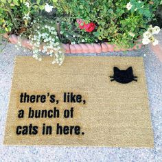 there's, like, a bunch of cats in here door mat