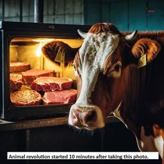 a brown and white cow standing in front of an oven filled with meats on it's side