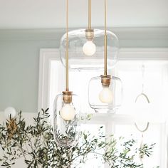 three lights hanging from a ceiling over a table with flowers and greenery in front of a window