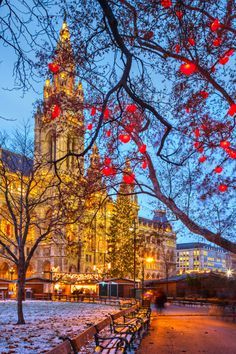 a snowy park bench in front of a tall building with christmas decorations on the trees