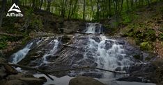 a small waterfall in the middle of a forest