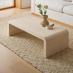 a living room with a couch, coffee table and potted plant on the rug