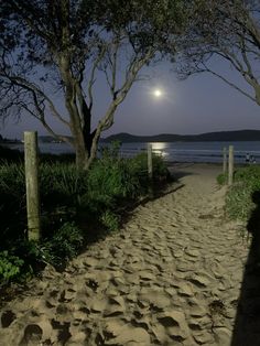 the moon is setting over the water and trees on the sand path that leads to the beach