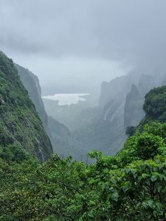 the mountains are covered in thick vegetation and foggy weather is coming down on them