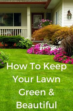 a lawn with flowers and bushes in front of it, the words how to keep your lawn green and beautiful