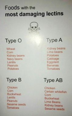 Bloodtype Diet O Positive, B Positive Blood Type Diet, B Positive Blood Type, Gut Diet