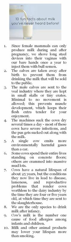 Reasons To Go Vegan, Milk Products, Cow Milk