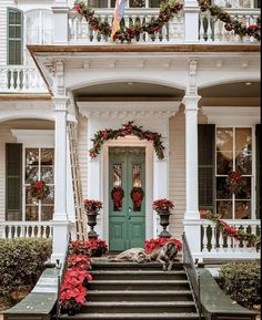 a dog laying on the steps in front of a house with wreaths and poinsettias