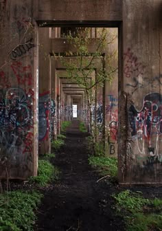 an abandoned building with graffiti on the walls and trees growing out of it's sides