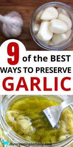 garlic is one of the best ways to preserve garlic