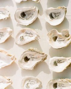 several oysters with names on them sitting on a white tableclothed surface in front of each other