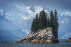 an island with pine trees on it in the middle of water and snow covered mountains