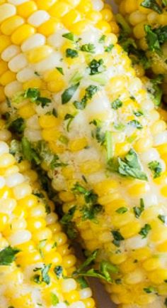 grilled corn on the cob with herbs and parsley