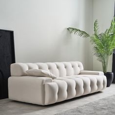 a white couch sitting next to a plant in a living room on top of a rug