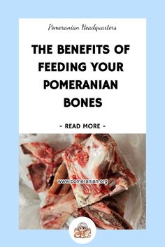 the benefits of feeding your pomegranate bones read more on www pomegranatediadas com