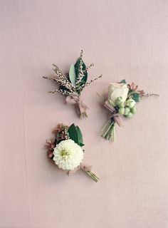 three flowers are placed next to each other on a pink surface with green leaves and stems