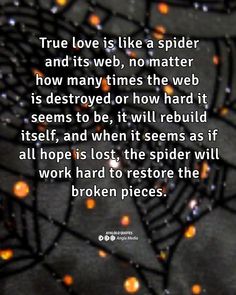 a spider web with the caption true love is like a spider and its web, no matter how many times the web is destroyed or how hard it seems to be