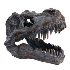 an image of a dinosaur skull on a white background