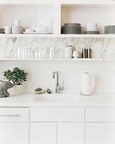 a white kitchen sink sitting under a shelf filled with plates and cups next to a potted plant