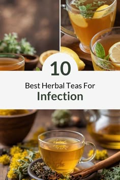 the top 10 best teas for infection with lemon, herbs and spices