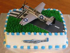 a cake that has a plane on it and grass in the shape of an airplane