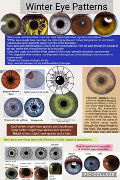 Seasonal Eye Patterns, Bright Winter Eyes, Winter Eye Pattern Color Analysis, Spring Eye Pattern Color Analysis, Seasonal Color Analysis Eyes, Spring Eye Pattern, Winter Eye Pattern, Color Analysis Eye Pattern, Eye Pattern Color Analysis