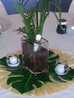 there is a vase with plants in it and candles on the table next to each other