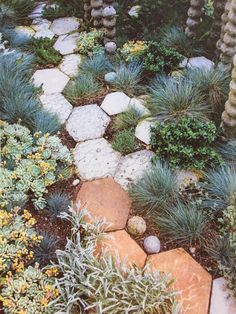 a garden with rocks and plants in it