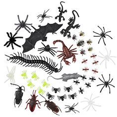 an assortment of different types of bugs and scorpions