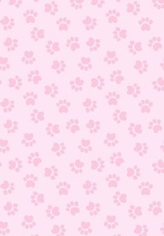 a pink wallpaper with small paw prints on the bottom and bottom half of it