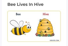 a bee is next to a hive on top of a honeycomb with the words bee lives in hive above it