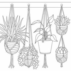 a line drawing of potted plants hanging from hooks