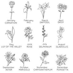 an image of flowers that are in the zodiac sign style, with names and dates