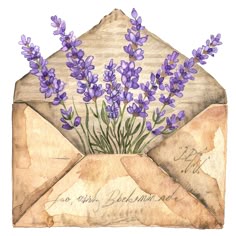 an envelope with purple flowers in it