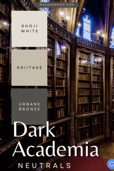 the interior of a library with bookshelves and stained glass windows in shades of white, brown, and gray