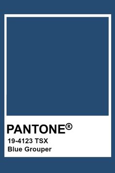 pantone's blue group logo