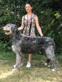 a woman standing next to a large gray dog