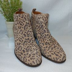 Cute Little Suede Leopard Print Booties Size 9.5, Nwot Round Toe, Side Zip Everyone Needs At Least One Pair Of Leopard Boots!! Adds A Little Spice To Your Wardrobe Good Quality Lucky Brand Boot Lucky Brand Boots, Leopard Print Booties, Leopard Boots, Lucky Brand Shoes, Brand Shoes, Good Quality, Side Zip, Lucky Brand, Black And Brown