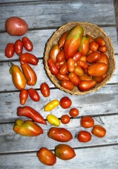 a basket full of tomatoes and peppers sitting on a wooden table next to some other vegetables