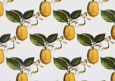 an image of lemons with leaves and flowers on white wallpaper that looks like it has been painted in watercolor