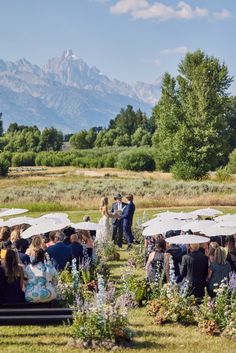 a group of people sitting under umbrellas in a field with mountains in the background