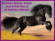 a black horse is galloping in the field at sunset with its hair blowing in the wind