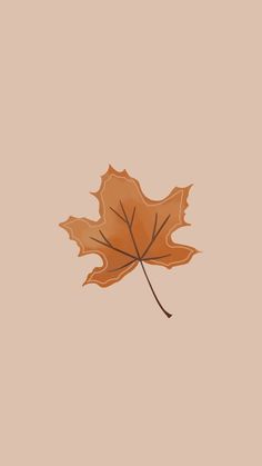 an orange maple leaf floating in the air on a beige and brown background with space for text