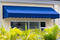 a blue awning on the side of a building next to palm trees and bushes