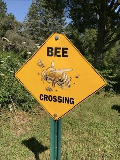 a yellow bee crossing sign sitting on the side of a road