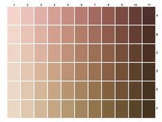 the color chart for different shades of brown