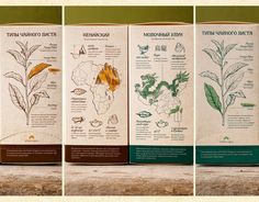 three different types of plants are shown in four separate images, each with labels on them