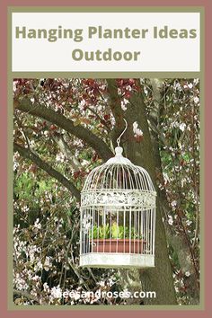 a birdcage hanging from a tree with flowers in it and the words hanging planter ideas outdoor